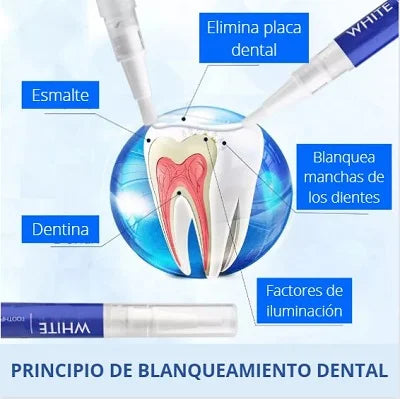 LAPIZ DENTAL™ BLANQUEAMIENTO PROGRESIVO 🔥🤩